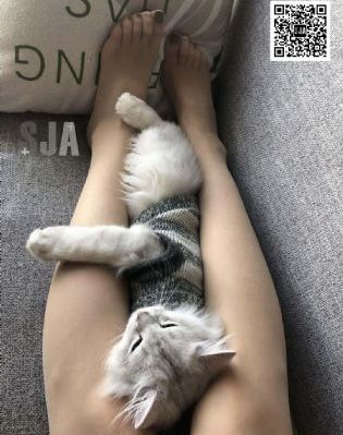 影视天堂_720高清视频观看