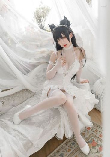 香港伦理女警花_超清免费在线观看