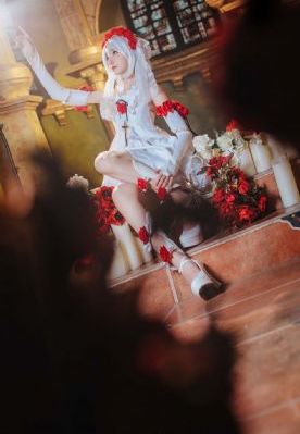 神宠进化动漫免费观看全集_HD影视在线观看