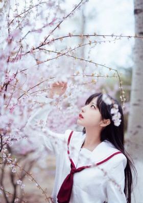 二次元动漫人物在线观看_BD英语在线观看电视